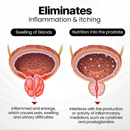 (⏰𝐋𝐢𝐦𝐢𝐭𝐞𝐝 𝐭𝐢𝐦𝐞 𝐝𝐢𝐬𝐜𝐨𝐮𝐧𝐭 𝐋𝐚𝐬𝐭 𝟑𝟎 𝐦𝐢𝐧𝐮𝐭𝐞𝐬⏰)DIYSTAR™ ProstaAir Dual-Function Nasal Inhaler
